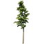 3dRender Pro-Viz Trees Vol. 02